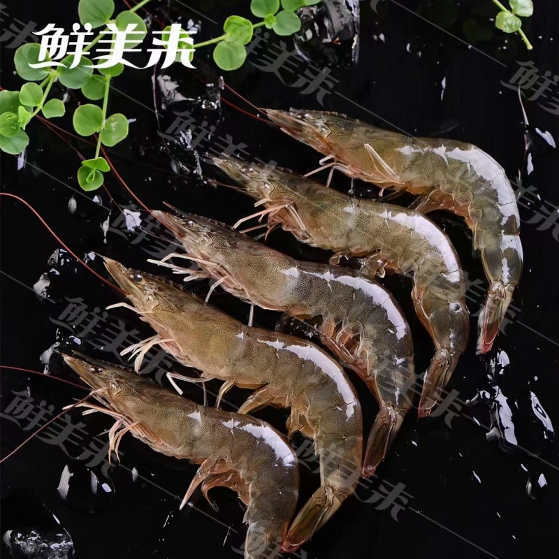 鲜美来原装进口南美白对虾1.5公斤*6盒