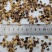 商用批发5X5mm干香菇粒厂家直供干净无杂质包邮