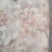 花鲢鱼泡厂家直销欢迎合作共赢