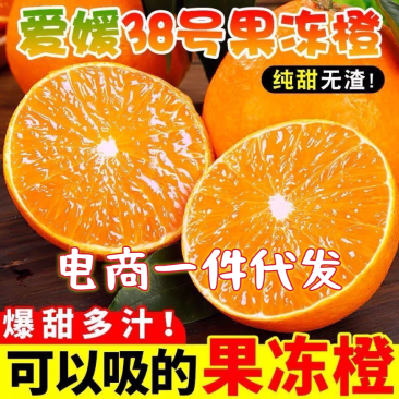 四川爱媛38号果冻橙新鲜采摘现摘现发产地直发电商一件代发