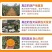四川爱媛38号果冻橙新鲜采摘现摘现发产地直发电商一件代发