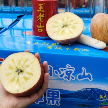 丽江宁蒗小凉山糖心苹果一件代发