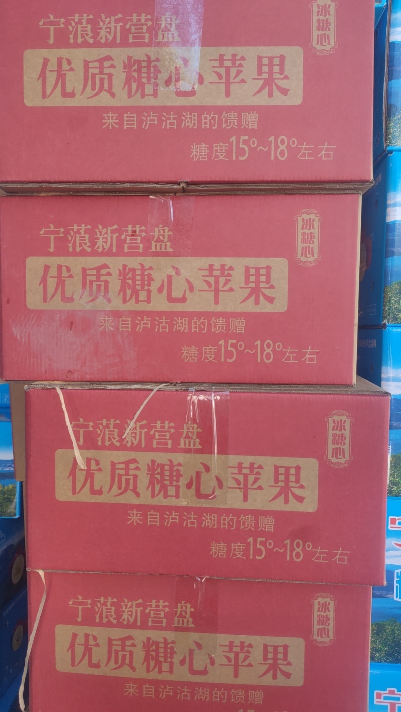 丽江宁蒗小凉山糖心苹果一件代发