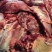 全牛肉带检疫