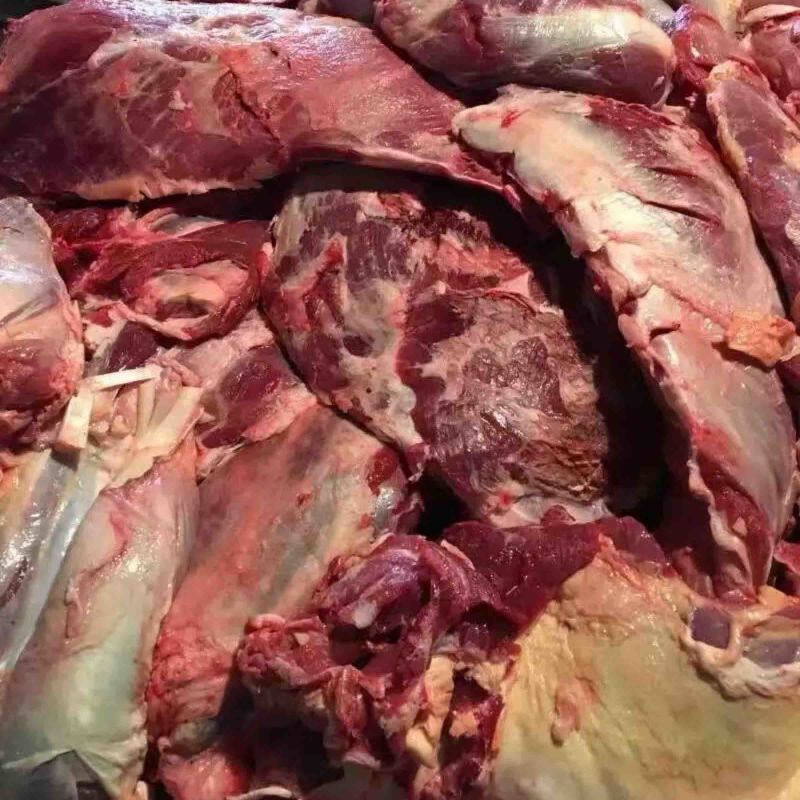 全牛肉带检疫