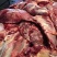 全牛肉带检疫