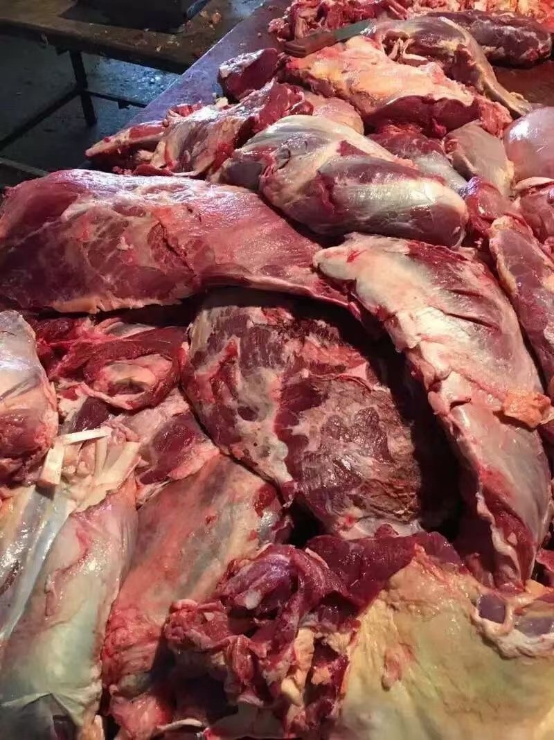 全牛肉带检疫