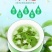 包邮【一斤500g】茉莉花茶小白毫毛尖2024新茶浓香型