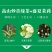 包邮【一斤500g】茉莉花茶小白毫毛尖2024新茶浓香型