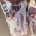 阿根廷13厂后腱