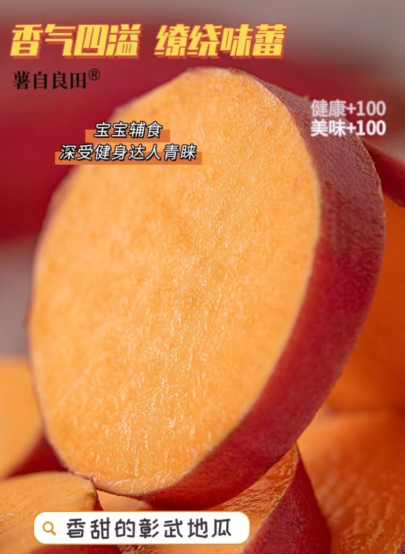 辽宁优选烟薯25蜜薯供应市场商超电商量大价优
