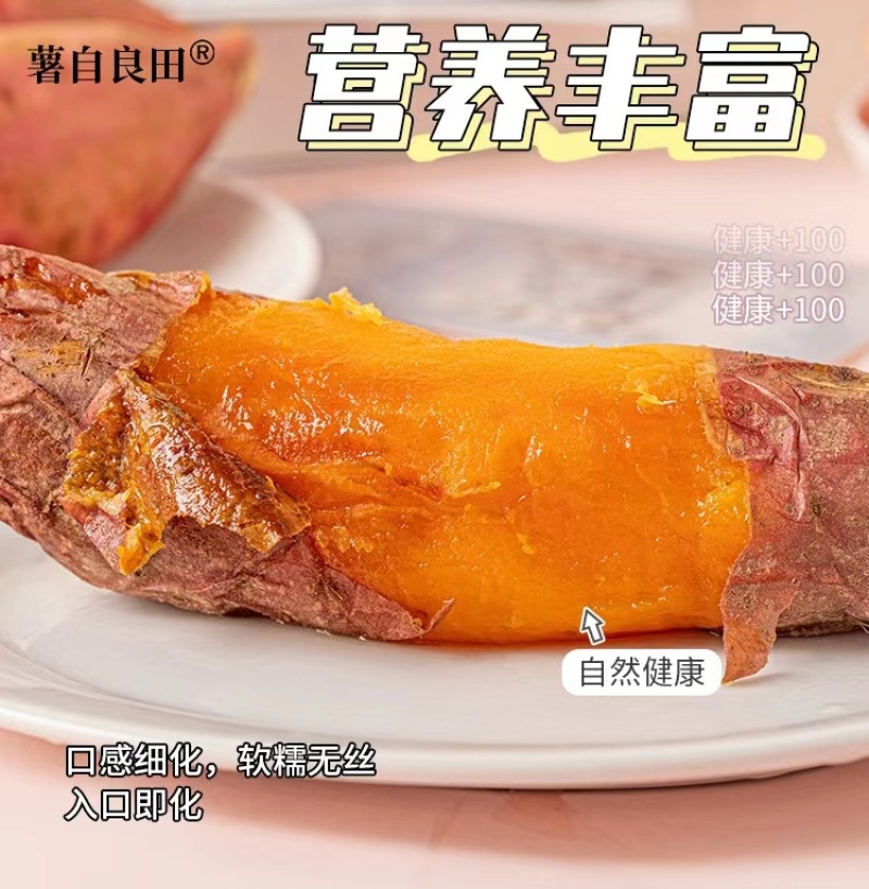 辽宁优选烟薯25蜜薯供应市场商超电商量大价优