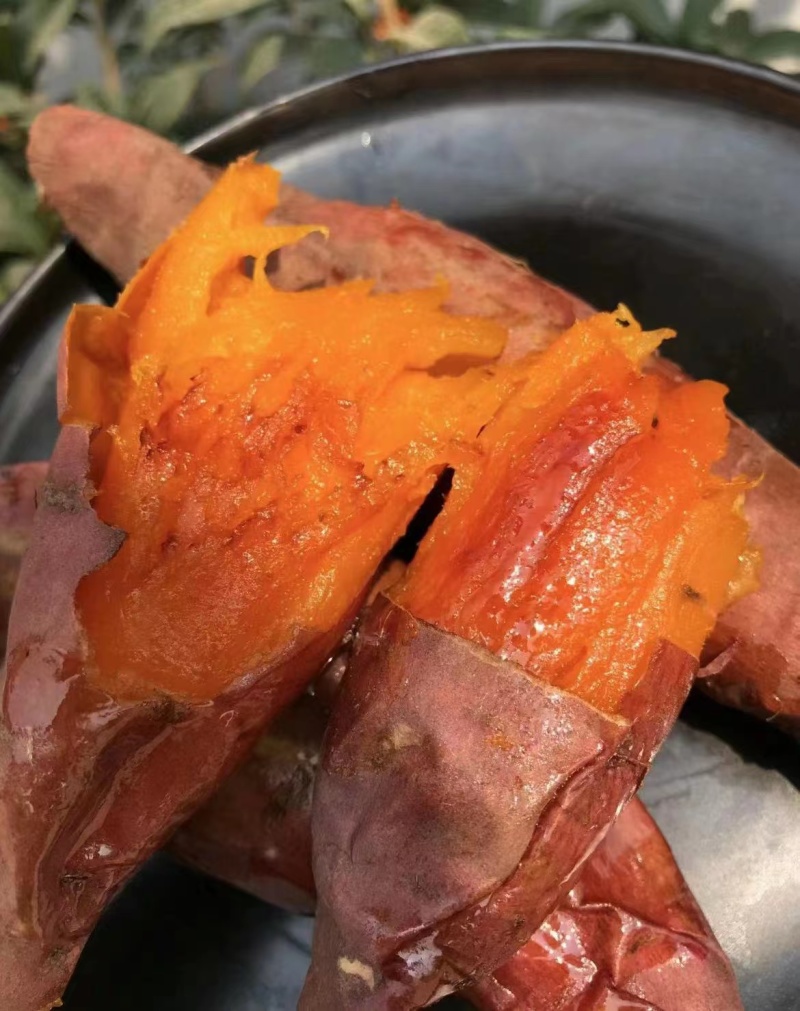 辽宁优选烟薯25蜜薯供应市场商超电商量大价优