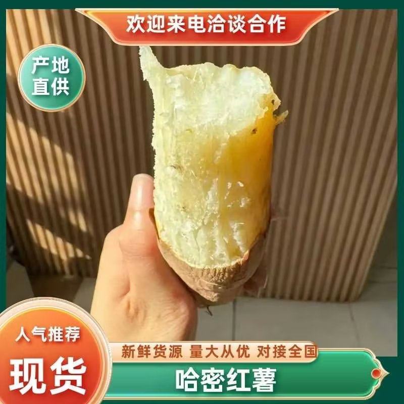 【红薯】精品哈密红薯产地直发一手货源电商品质量大价优