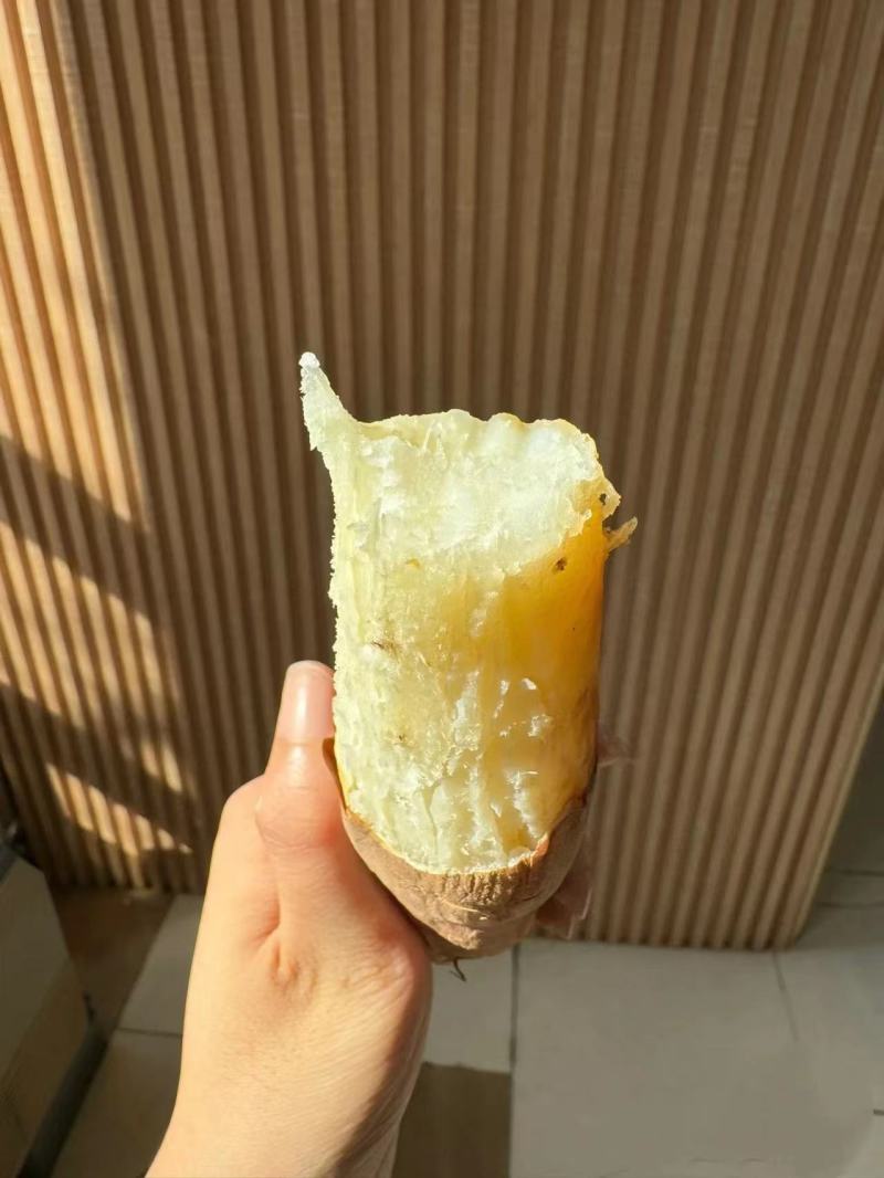 【红薯】精品哈密红薯产地直发一手货源电商品质量大价优