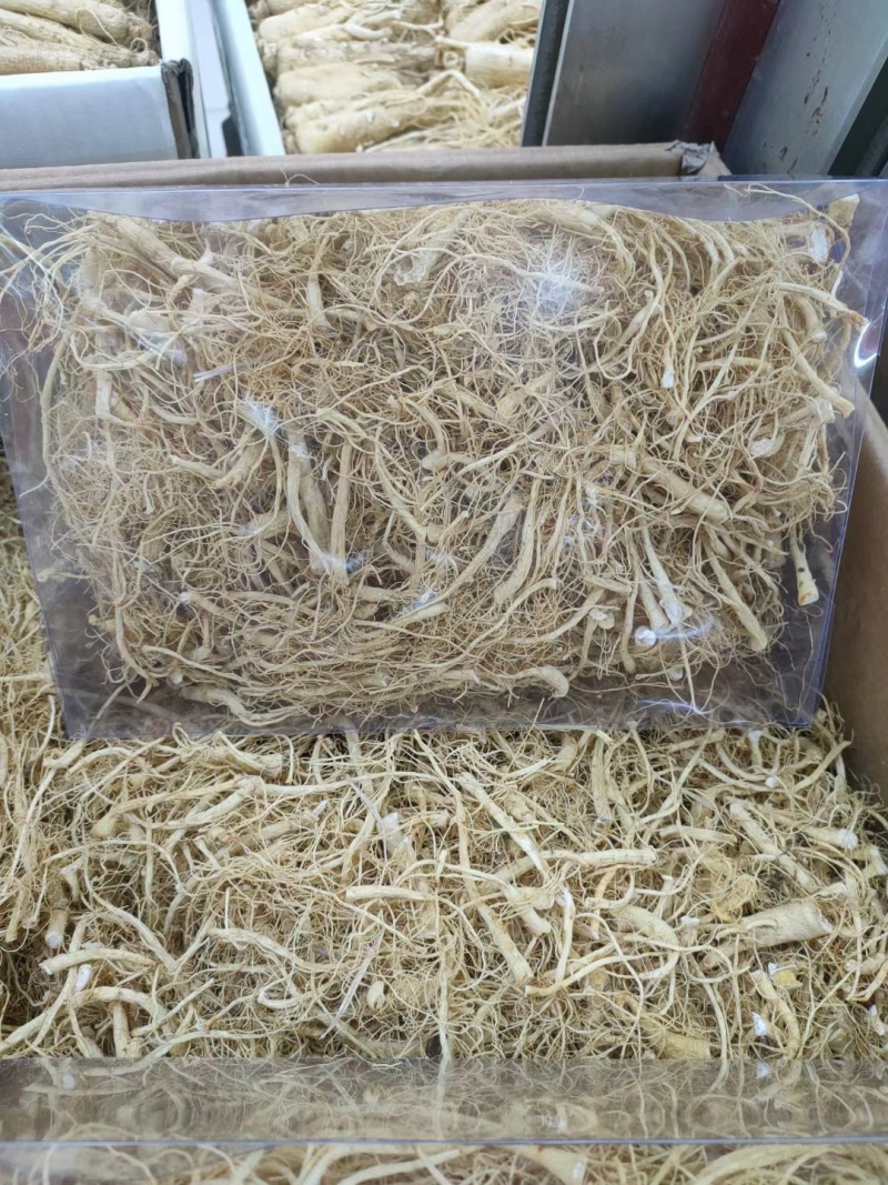 长白山人参须当季新货须长颜色很好量大从优发货快出口货