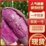 【实力】辽宁紫薯现挖现发香甜软糯对接各大市场电商