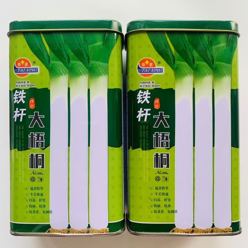 铁杆大葱种子山东章丘四季葱种苗特大蔬菜种籽香葱小孑蔬菜葱