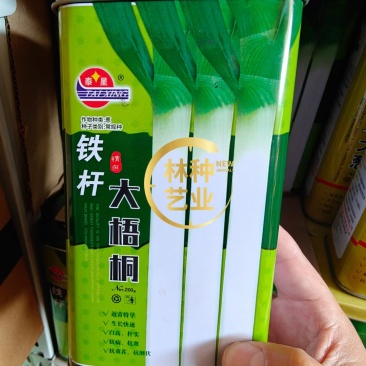 铁杆大葱种子山东章丘四季葱种苗特大蔬菜种籽香葱小孑蔬菜葱