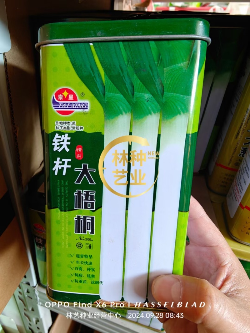 铁杆大葱种子山东章丘四季葱种苗特大蔬菜种籽香葱小孑蔬菜葱