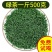 包邮）绿茶2024新茶茶叶高山云雾绿茶明前新茶散浓香型