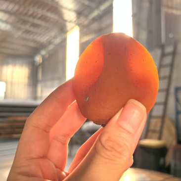 柿饼