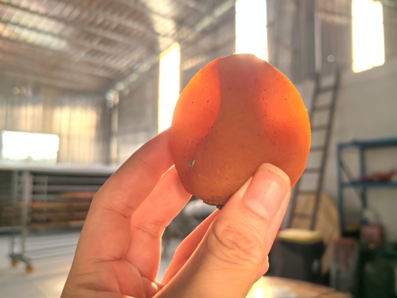 柿饼