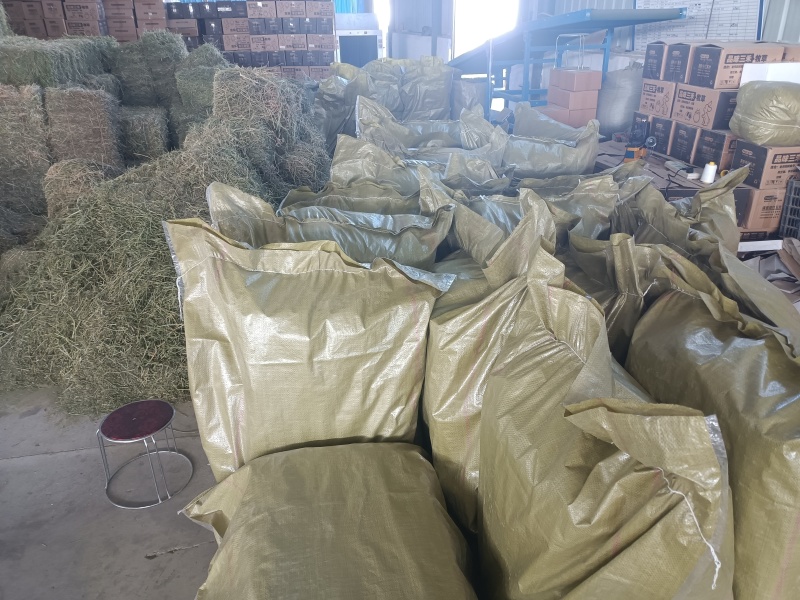 新鲜苜蓿草，营养丰富，品质保证，快来选购！