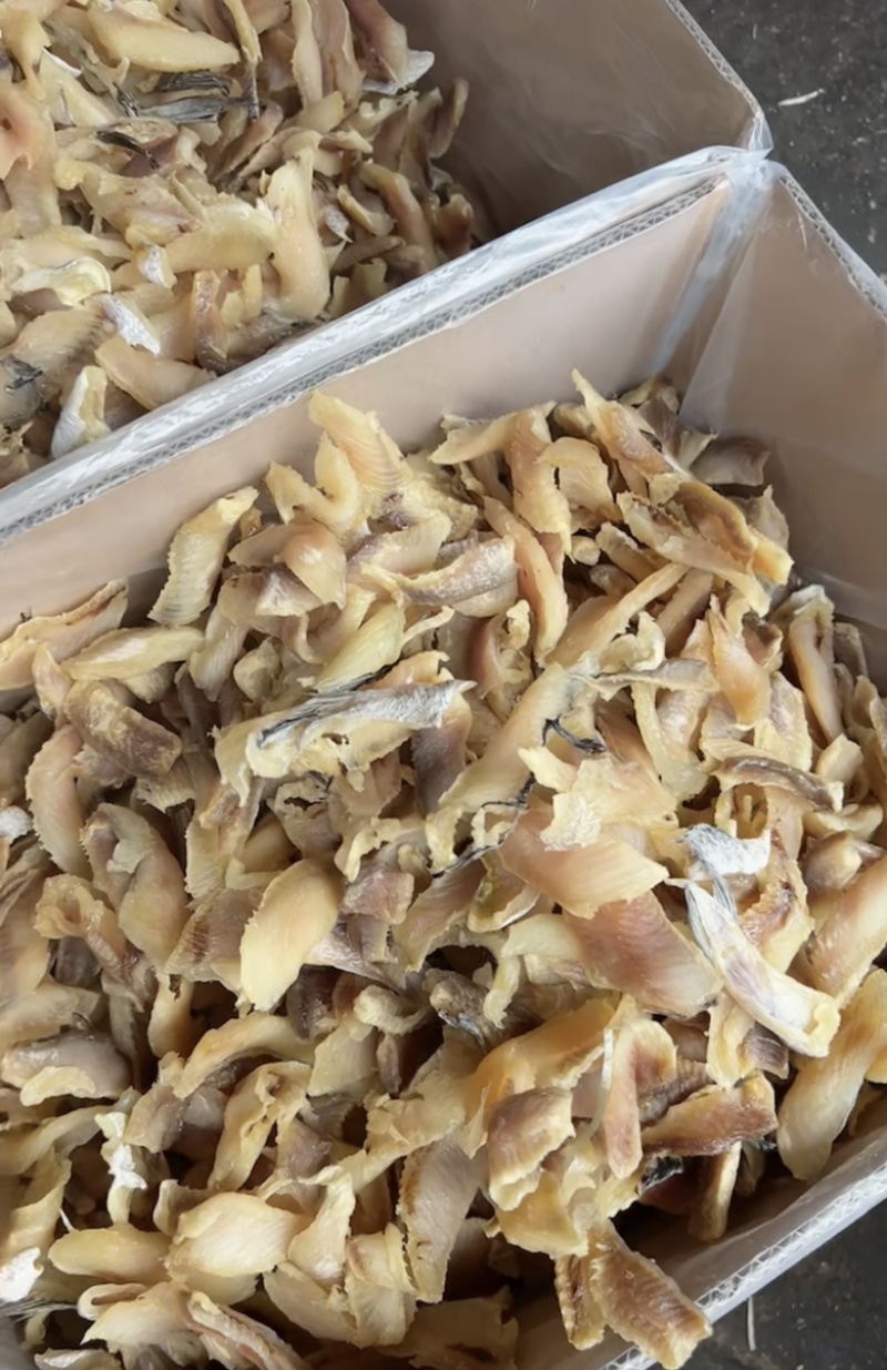 石斑鱼肉地摊电商批发石斑鱼肉干石斑鱼干干鱼