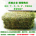 24年新鲜小捆紫花苜蓿草牛羊马驴羊驼饲草料原产地发货批发