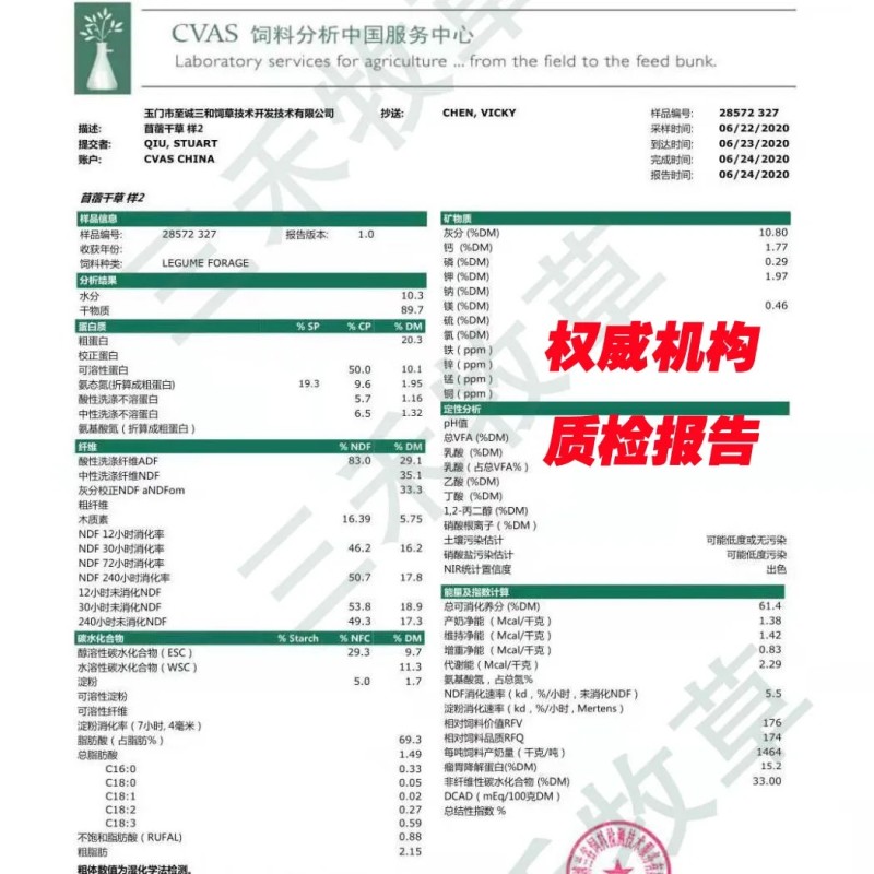 24年新鲜小捆紫花苜蓿草牛羊马驴羊驼饲草料原产地发货批发