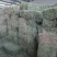 24年新鲜小捆紫花苜蓿草牛羊马驴羊驼饲草料原产地发货批发