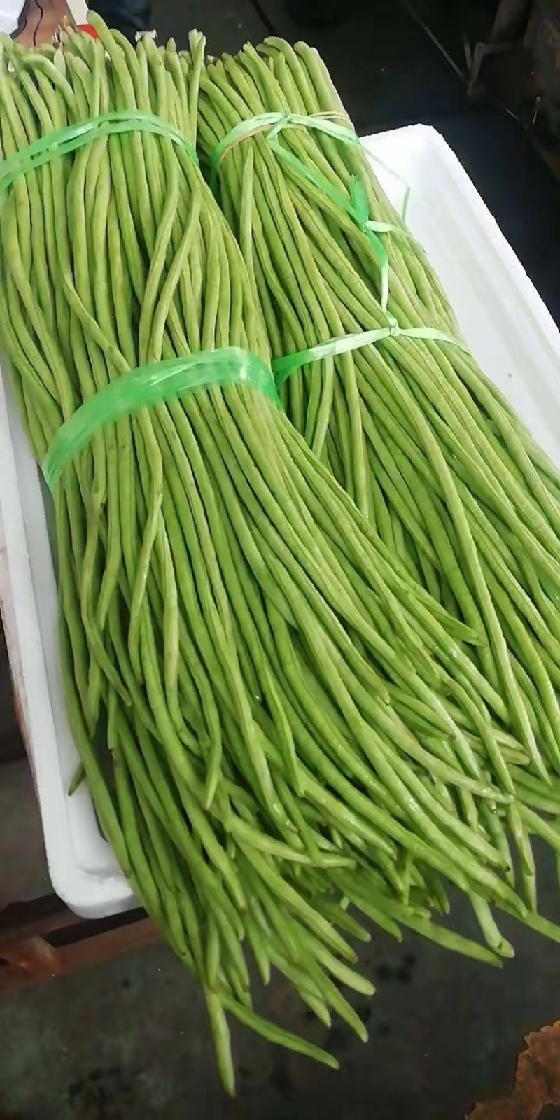 【精品长豆角】上市，品质优良，货源充足，无虫，一手货源。