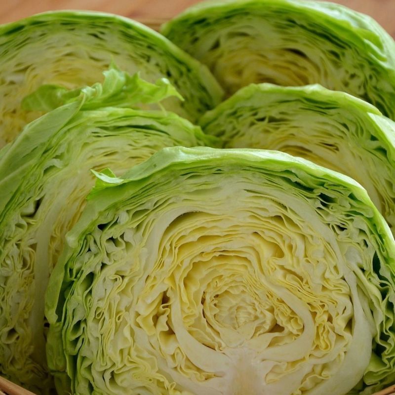 洋白菜圆包中甘甘蓝一手货源量大从优可视频看货