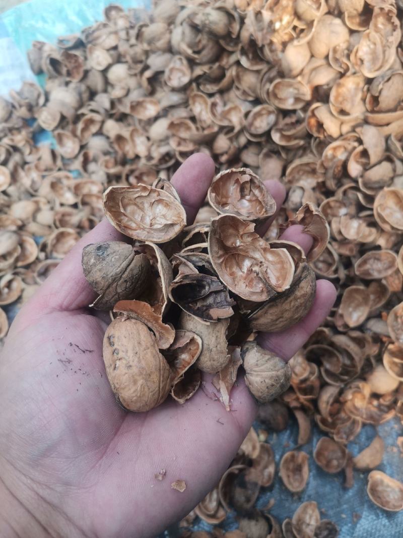 核桃皮核桃壳