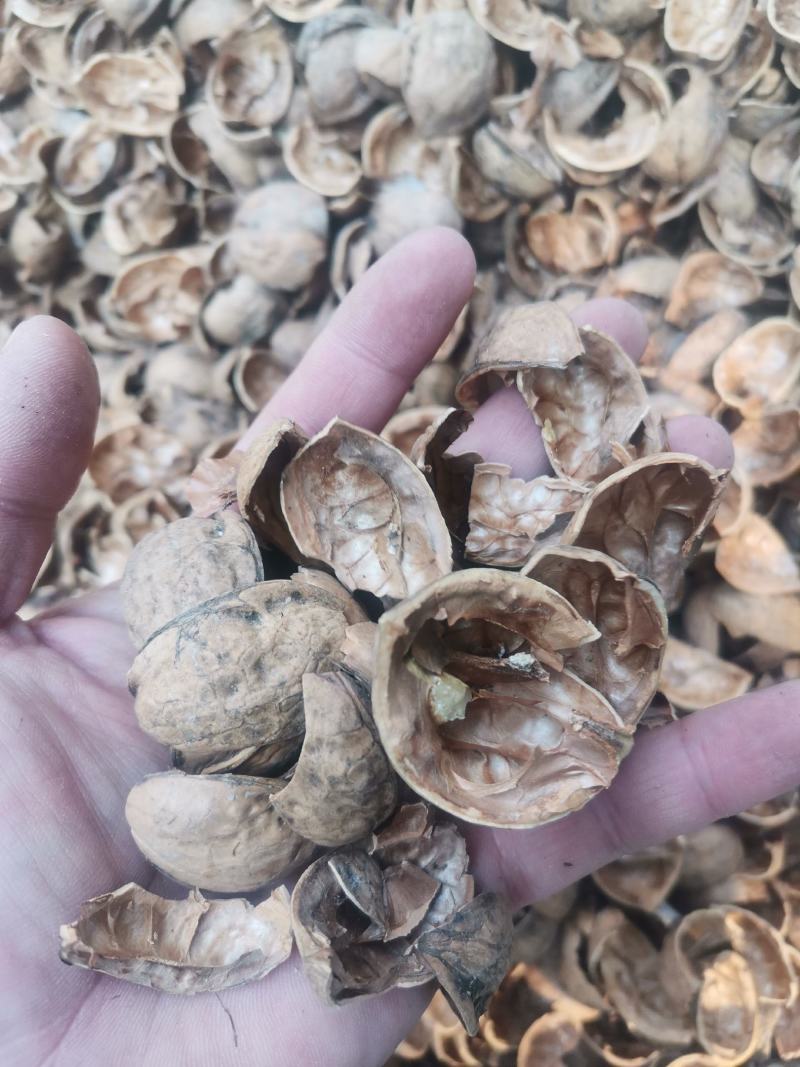 核桃皮核桃壳