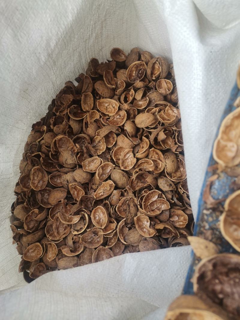 核桃皮核桃壳
