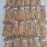 笋干竹笋花传统纯手工制作农家自产自销一手货源量大从优