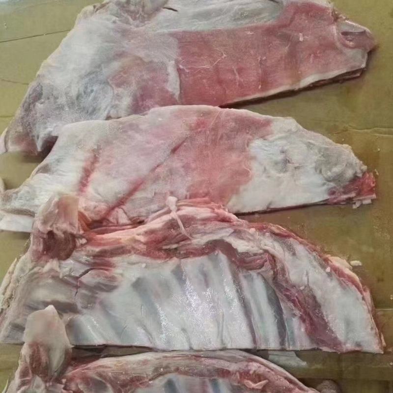羔羊肋排