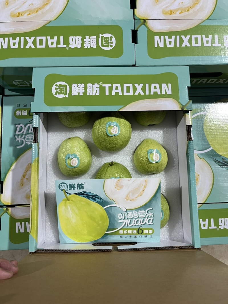 奶油芭乐，送礼优选奶酪芭乐只打精品礼盒可供市场电商商超