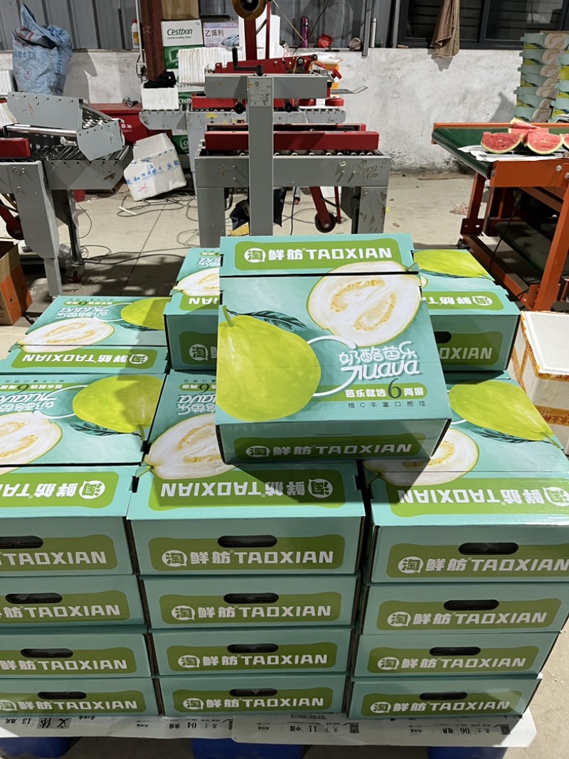 奶油芭乐，送礼优选奶酪芭乐只打精品礼盒可供市场电商商超