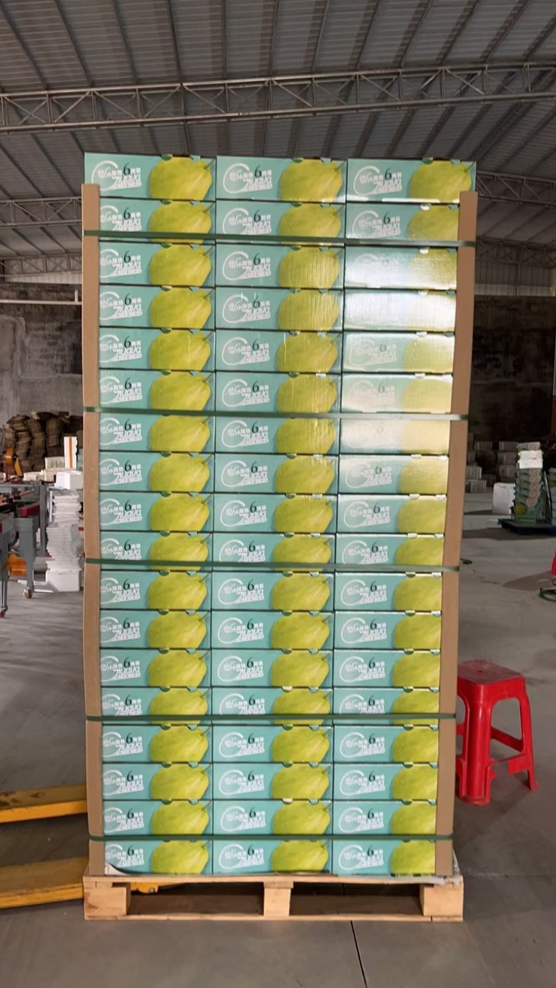 奶油芭乐，送礼优选奶酪芭乐只打精品礼盒可供市场电商商超