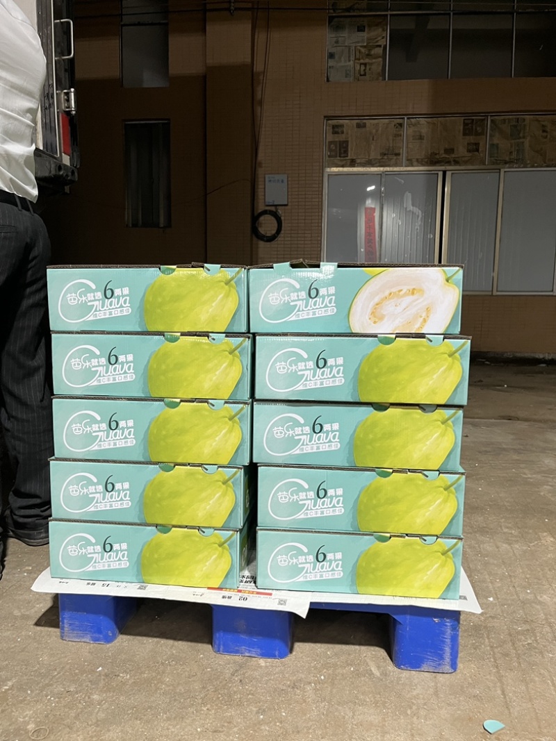 奶油芭乐，送礼优选奶酪芭乐只打精品礼盒可供市场电商商超