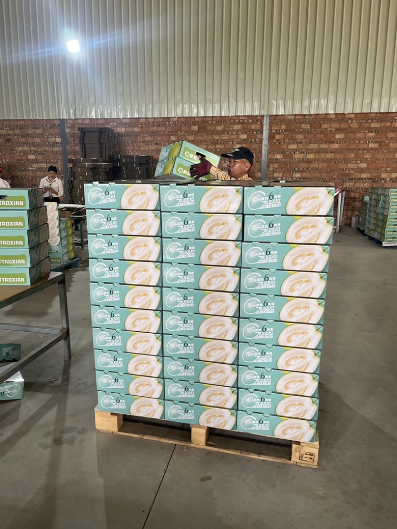 奶油芭乐，送礼优选奶酪芭乐只打精品礼盒可供市场电商商超