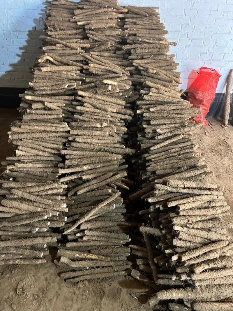 小白嘴山药带土货源电商市场商超货源