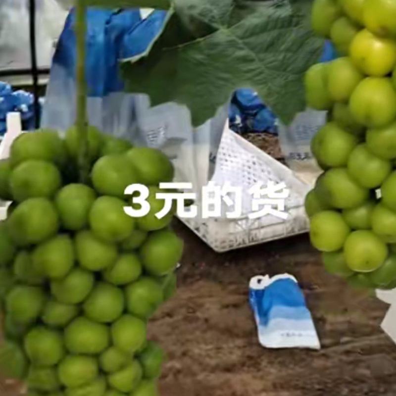 大量现货