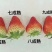 宁玉草莓天仙醉果实硬度好,支持全国各大商超,平台对接