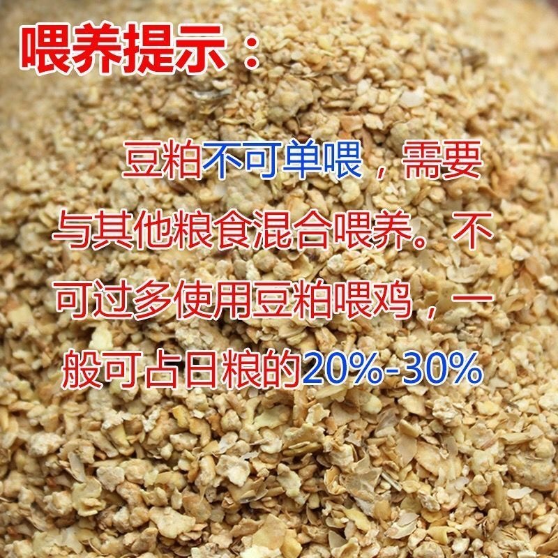喷浆豆粕加工厂加工蛋白35