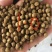 鱼虾蟹水产膨化饲料