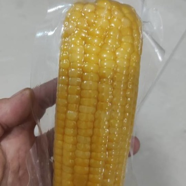 真空东北糯玉米，甜脆可口，**特惠，快来尝鲜！